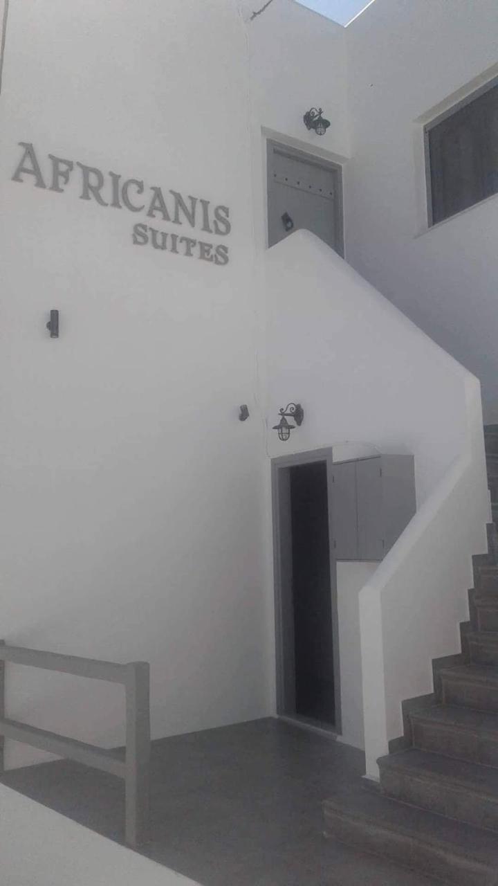 Africanis *